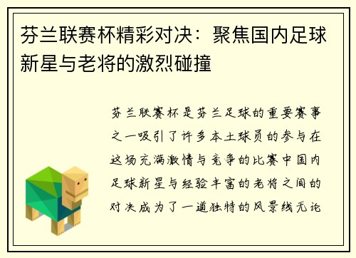 芬兰联赛杯精彩对决：聚焦国内足球新星与老将的激烈碰撞